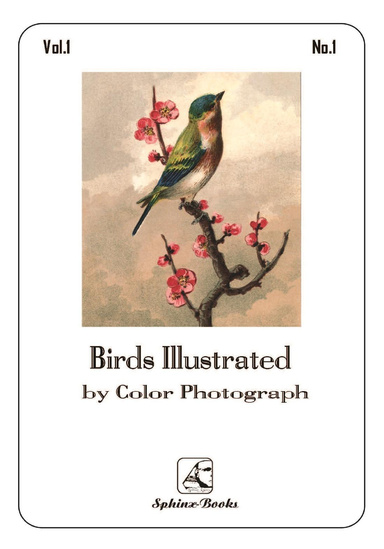 Birds Illustrated (Part One)