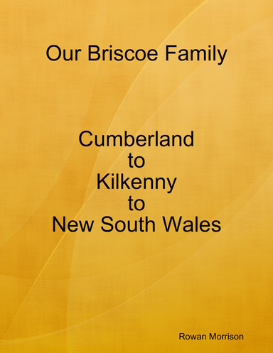 Our Briscoe Family ebook
