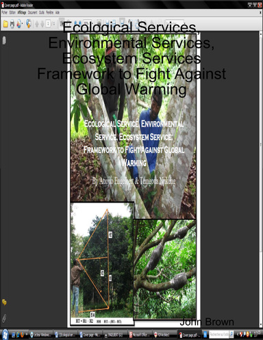 Ecological Services, Environmental Services, Ecosystem Services: Framework to Fight Against Global Warming