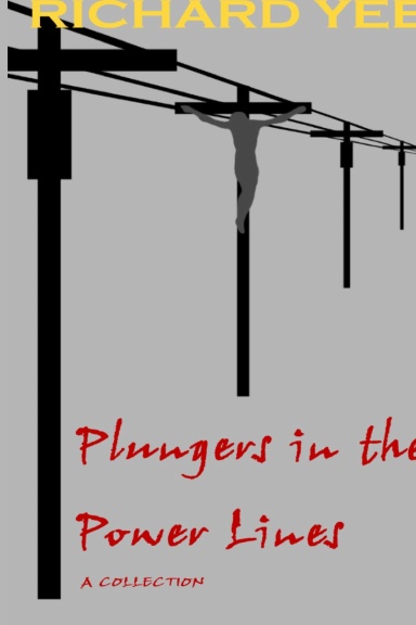 Plungers in the Power Lines (Hardcover)