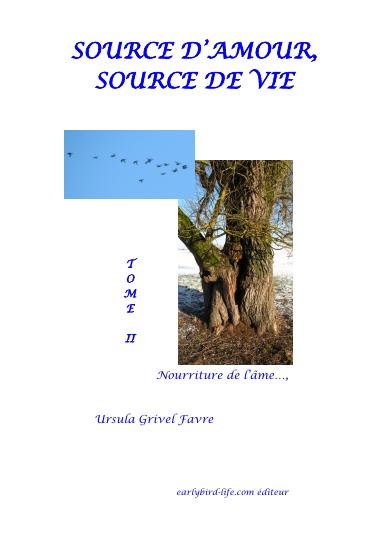 SOURCE D'AMOUR, SOURCE DE VIE - TOME II