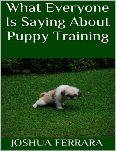 What Everyone Is Saying About Puppy Training
