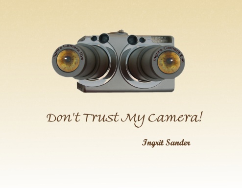 Don't Trust My Camera!