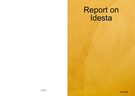 Report on Idesta