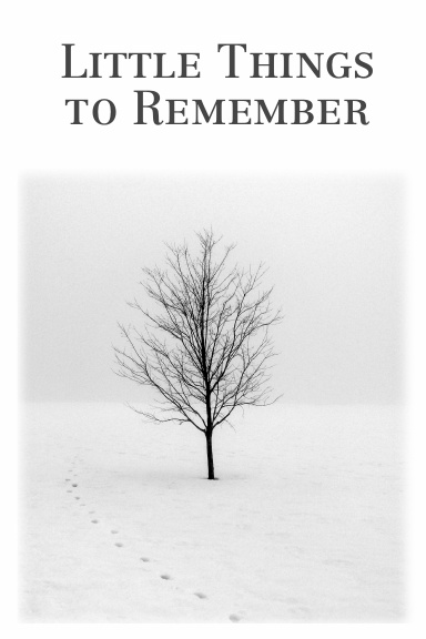 Little Things to Remember