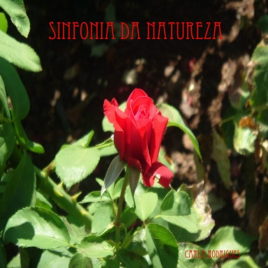Sinfonia da Natureza