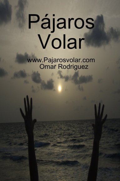Pájaros Volar
