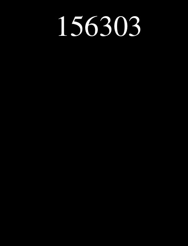 156303