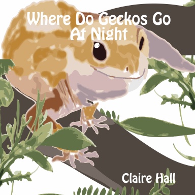 Where Do Geckos Go At Night
