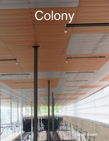 Colony