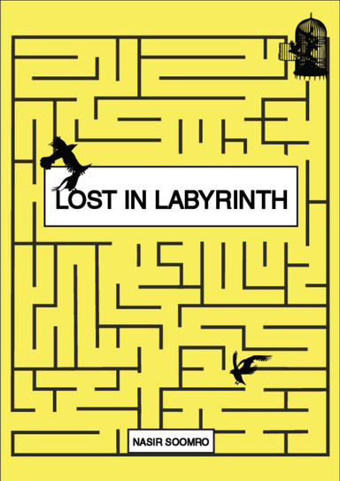 LOST IN LABYRINTH