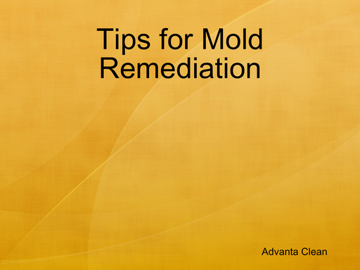 Tips for Mold Remediation