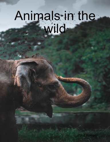 Animals in the wild