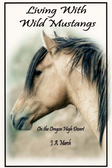 Living with Wild Mustangs