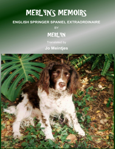 Merlyn's Memoirs: English Springer Spaniel Extraordinaire
