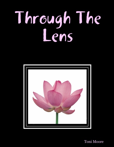 Through The Lens