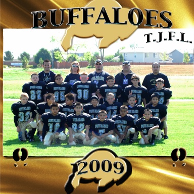 2009 Buffalos