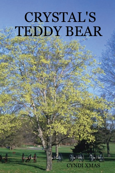 CRYSTAL'S TEDDY BEAR