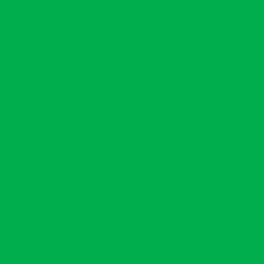 Blank Sketchbook - GREEN 100