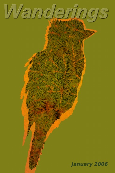 Wanderings - January 2006