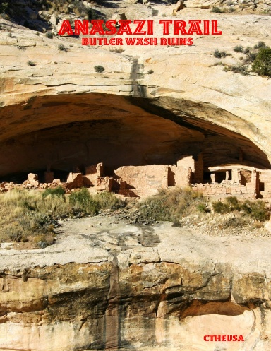 Anasazi Trail - Butler Wash Ruins