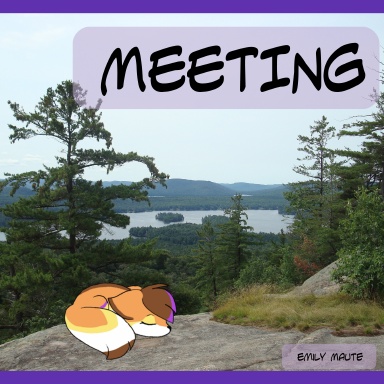 Meeting