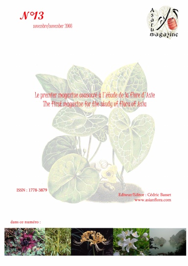 Asarum magazine n°13