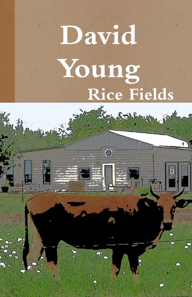 Rice Fields