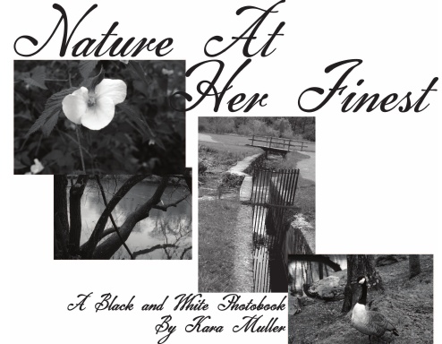 Nature At Her Finest: A Black and White Photobook