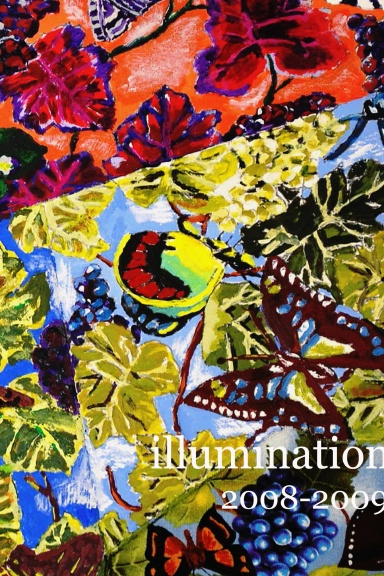 illumination 2008-2009