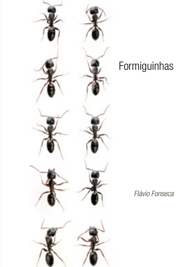 Formiguinhas