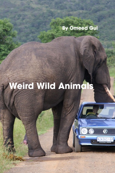 Weird Wild Animals