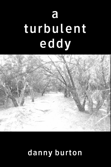 A Turbulent Eddy