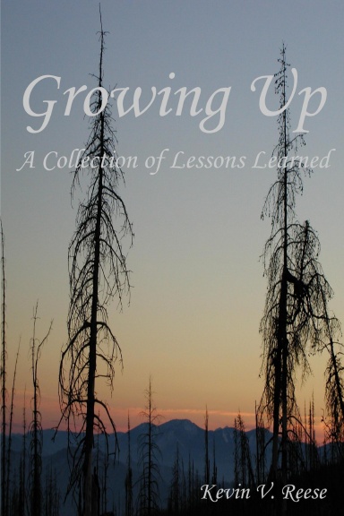 Growing Up - A Collection of Lessons Learned