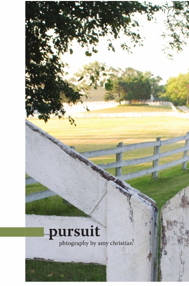 pursuit