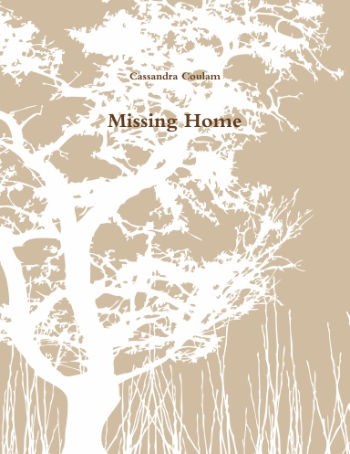 Missing Home