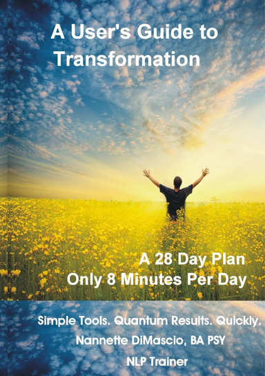 A User's Guide to Transformation