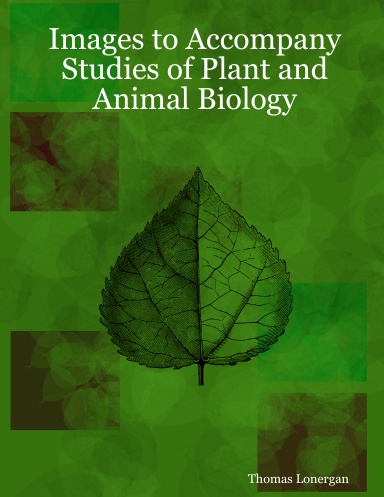 Images to Accompany Studies of Plant and Animal Biology