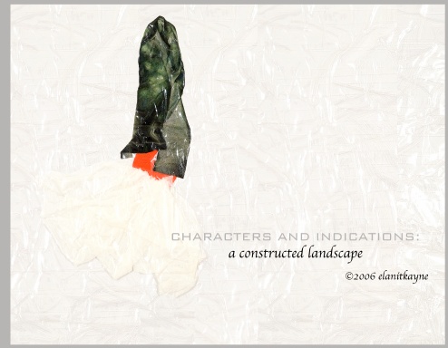 Characters and Indications: a constructed landscape