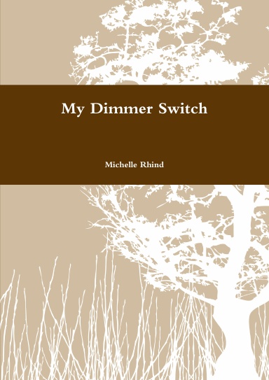 My Dimmer Switch