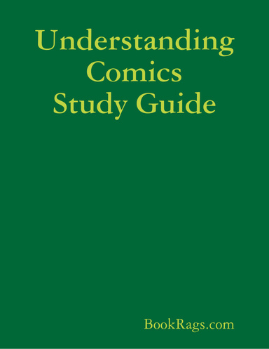 Understanding Comics Study Guide