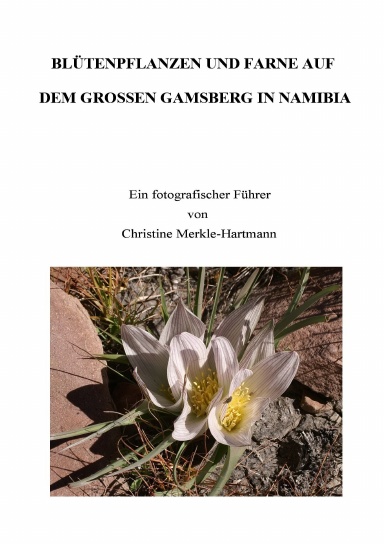 Blütenpflanzen und Farne auf dem Grossen Gamsberg in Namibia