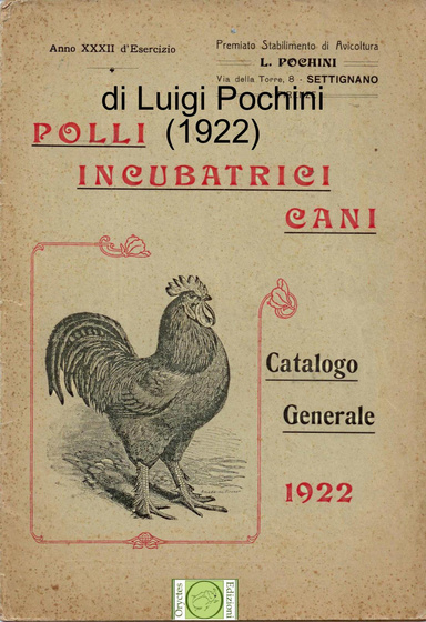 Catalogo ditta Pochini - di Luigi Pochini (1922)