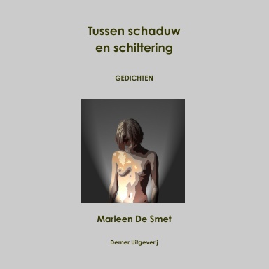 Tussen schaduw en schittering