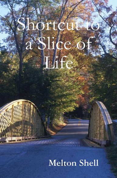 Shortcut to a Slice of Life (ebook)