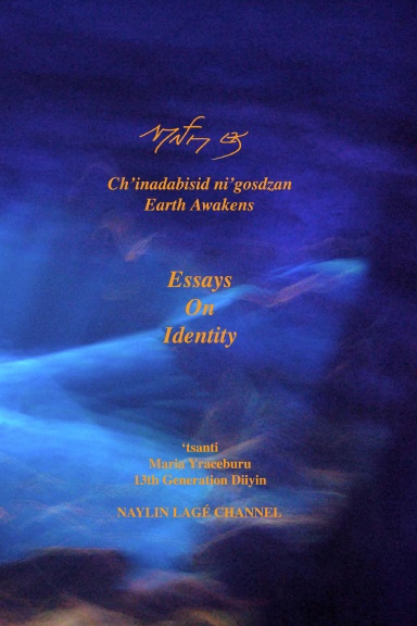 Essays on Identity
