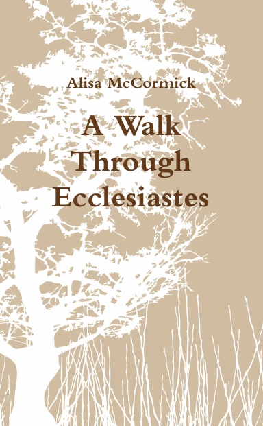 A Walk Through Ecclesiastes