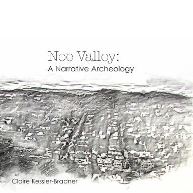 Noe Valley: A Narrative Archeology