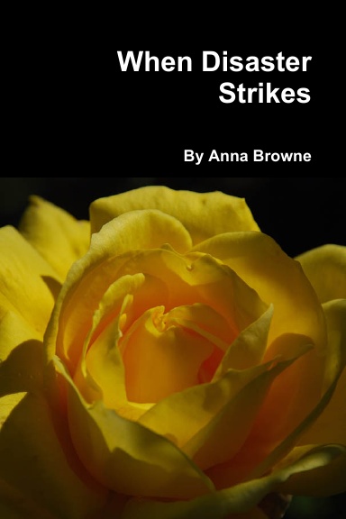 When Disaster Strikes