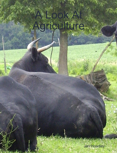 A Look At Agriculture